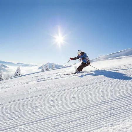 Amazing In 펜션 스쿠르콜라 마르시카나