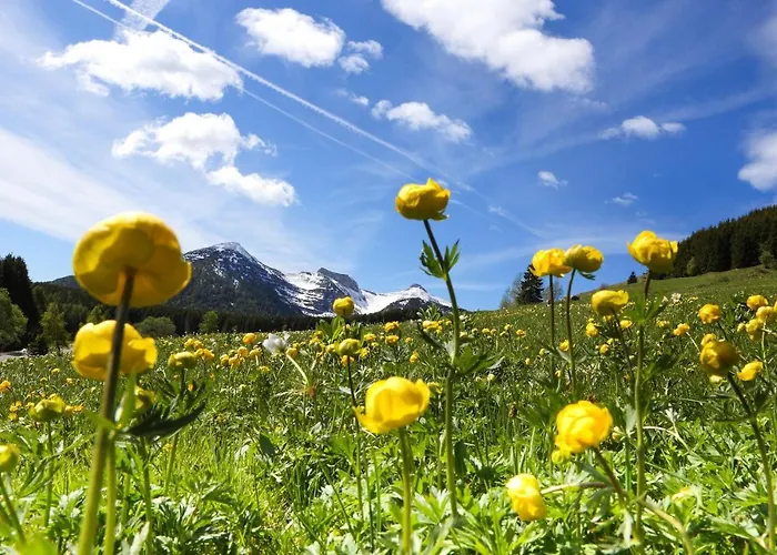 Amazing In Дом отдыха